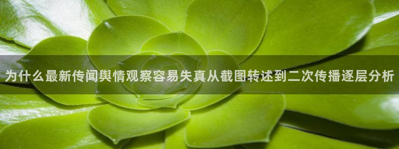 热门资讯爆料