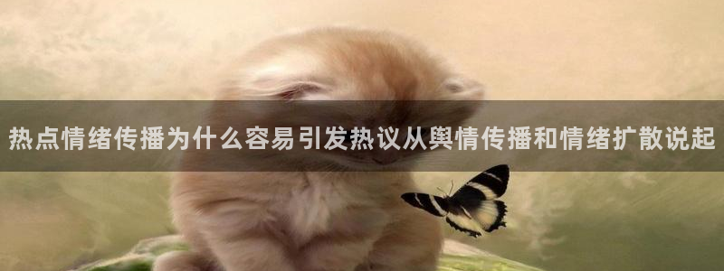 今日网络热点
