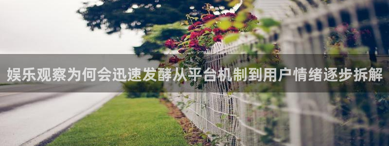 网络今日爆料
