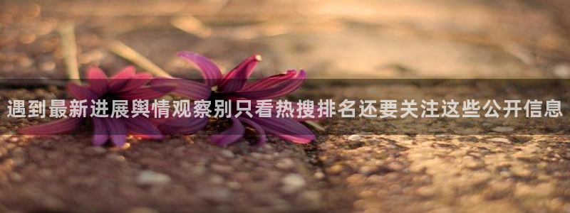 黑料爆料热点网