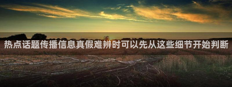 热门网络资讯