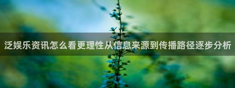 最新事件爆料