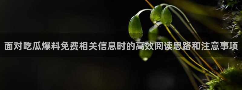 黑料爆料热点大全：面对吃瓜爆料免费相关信息时的高效阅读思路和注意事项